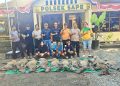 Bawa 10 Rusa dari Pulau Komodo, 3 Warga Bima Monta Diringkus