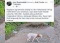 Tak Perlu Jadi Pahlawan untuk Menolong! Warga Bima Bersatu Selamatkan Nyawa Anjing