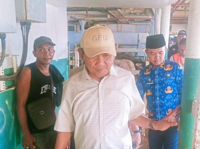 Kapal khusus ternak KM Camara Nusantara 3 resmi memulai pelayaran perdananya dari Pelabuhan Badas, Kabupaten Sumbawa