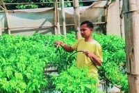 Ketua Kelompok Tani Jatibaru Kota Bima Deden Solihin.