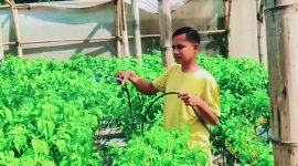 Ketua Kelompok Tani Jatibaru Kota Bima Deden Solihin.
