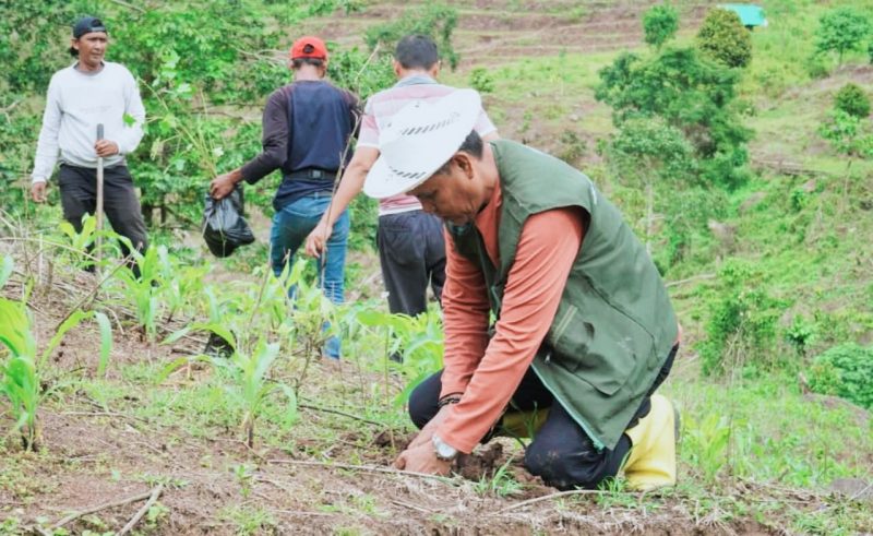 Program Sumbawa Hijau Lestari yang dicanangkan Bupati Sumbawa Ir. H. Syarafuddin Jarot, M.P., upaya penghijauan kini kembali digelar di Kecamatan Lantung