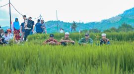 Tasyakuran Swasembada Pangan Tingkat Provinsi NTB yang digelar di Desa Banyu Urip, Kabupaten Lombok Barat yang dihadiri Gubernur NTB Lalu Muhamad Iqbal 