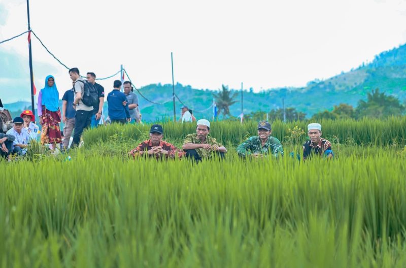 Tasyakuran Swasembada Pangan Tingkat Provinsi NTB yang digelar di Desa Banyu Urip, Kabupaten Lombok Barat yang dihadiri Gubernur NTB Lalu Muhamad Iqbal 