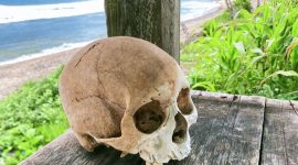Tengkorak yang diduga bagian tubuh manusia di pesisir Pantai Wadu Me’e, Dusun Nangadoro, Desa Hu’u, Kecamatan Hu’u, Kabupaten Dompu.