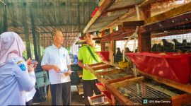 Kepala Dinas Peternakan dan Kesehatan Hewan Provinsi NTB, Muhamad Riadi, saat melakukan monitoring dan evaluasi program budidaya puyuh petelur berbasis kemitraan di Kelompok Tani Ternak Maju Jaya, Desa Beriri Jarak, Kecamatan Wanasaba, Lombok Timur.