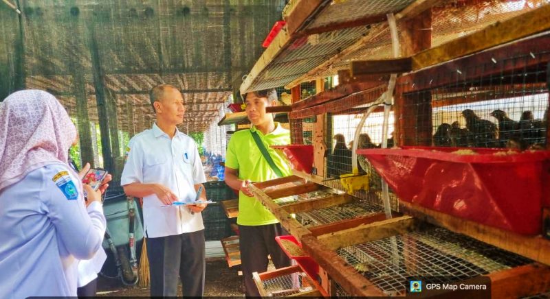Kepala Dinas Peternakan dan Kesehatan Hewan Provinsi NTB, Muhamad Riadi, saat melakukan monitoring dan evaluasi program budidaya puyuh petelur berbasis kemitraan di Kelompok Tani Ternak Maju Jaya, Desa Beriri Jarak, Kecamatan Wanasaba, Lombok Timur.