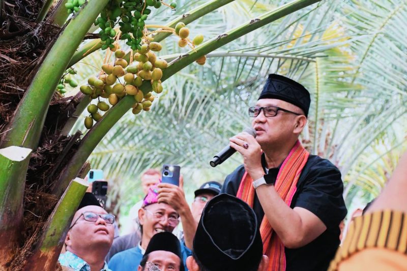 Menteri Haji dan Umrah RI K.H. Muhammad Irfan Yusuf meninjau langsung kebun kurma terbaik ke-7 dunia di Kabupaten Lombok Utara, didampingi Bupati Lombok Utara Najmul Akhyar.