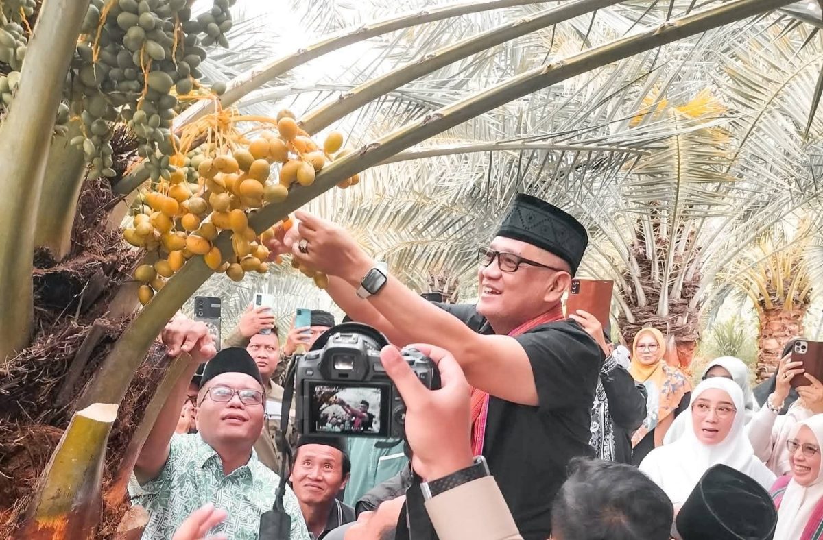 Menteri Haji dan Umrah Republik Indonesia K.H. Muhammad Irfan Yusuf saat memetik langsung buah kurma di Kebun Kurma Lombok Utara, Kecamatan Gangga, sebagai simbol dukungan pengembangan ekosistem ekonomi haji nasional berbasis pertanian lokal.