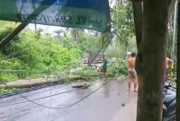 Pohon dan tiang listrik tumbang akibat angin kencang di Jalan Menuju Kuta Mandalika, Lombok Tengah, menimbulkan pemadaman listrik dan kerusakan infrastruktur.