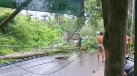 Pohon dan tiang listrik tumbang akibat angin kencang di Jalan Menuju Kuta Mandalika, Lombok Tengah, menimbulkan pemadaman listrik dan kerusakan infrastruktur.