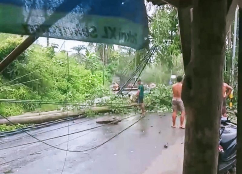 Pohon dan tiang listrik tumbang akibat angin kencang di Jalan Menuju Kuta Mandalika, Lombok Tengah, menimbulkan pemadaman listrik dan kerusakan infrastruktur.