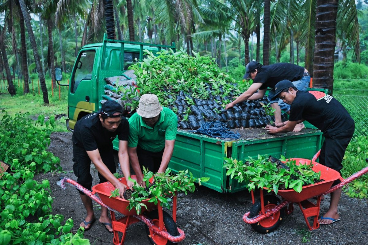 Proses penyaluran bibit pohon produktif kepada masyarakat sebagai bagian dari program Sumbawa Hijau Lestari dan komitmen pembangunan lingkungan berkelanjutan.