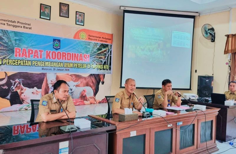 Kepala Dinas Peternakan dan Kesehatan Hewan Provinsi NTB, Muhamad Riadi, S.P., M.Ec.Dev, saat membuka Rapat Koordinasi Percepatan Pengembangan Ayam Petelur di Aula Dinas Peternakan dan Kesehatan Hewan Provinsi NTB, Senin (26/1/2026).