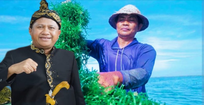Kepala Dinas Kelautan dan Perikanan Provinsi NTB, Muslim, bersama petani rumput laut di kawasan Pantai Ekas, Teluk Ekas, Lombok Timur 