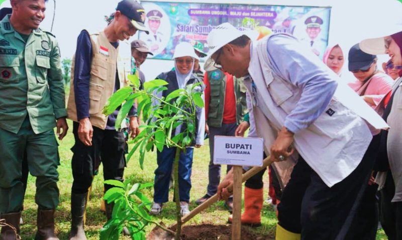 Bupati Sumbawa Ir. H. Syarafuddin Jarot, M.P., memimpin langsung aksi penanaman ribuan pohon di Desa Mata, Kecamatan Tarano, perbatasan Sumbawa–Dompu, sebagai bagian dari gerakan rehabilitasi hutan dan pembentukan Satgas Penyelamatan Hutan.