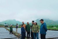 Kepala BBRMP NTB Hendro Cahyono bersama jajaran Dirjen Hortikultura, aparat keamanan, dan petani bawang putih meninjau langsung lokasi persiapan kunjungan Menteri Pertanian RI di Sembalun Bumbung, Kecamatan Sembalun, Lombok Timur.