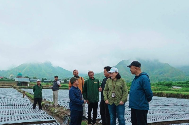 Kepala BBRMP NTB Hendro Cahyono bersama jajaran Dirjen Hortikultura, aparat keamanan, dan petani bawang putih meninjau langsung lokasi persiapan kunjungan Menteri Pertanian RI di Sembalun Bumbung, Kecamatan Sembalun, Lombok Timur.