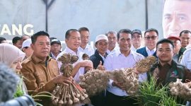 Menteri Pertanian Andi Amran Sulaiman bersama Gubernur NTB Lalu Muhamad Iqbal saat meninjau sentra bawang putih di Sembalun, Lombok Timur.