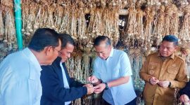 Menteri Pertanian Andi Amran Sulaiman didampingi Gubernur NTB meninjau lahan bawang putih di Sembalun, Lombok Timur, dalam upaya percepatan swasembada nasional.