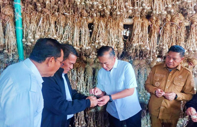 Menteri Pertanian Andi Amran Sulaiman didampingi Gubernur NTB meninjau lahan bawang putih di Sembalun, Lombok Timur, dalam upaya percepatan swasembada nasional.