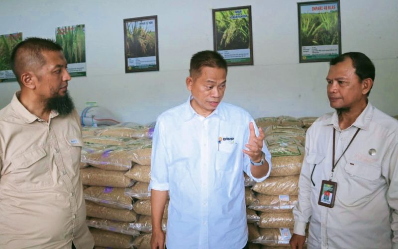 Kepala Badan Perakitan dan Modernisasi Pertanian (BRMP) Kementerian Pertanian RI, Prof. Dr. Ir. Fadjry Djufry, M.Si, didampingi Kepala Balai Besar Penerapan Modernisasi Pertanian (BBPMP) NTB, Hendro Cahyono, melakukan kunjungan kerja ke sejumlah unit di lingkungan BRMP NTB
