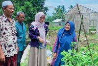 Plt Kepala Dinas Pertanian dan Ketahanan Pangan NTB Eva Dewiyani saat mengunjungi Gapoktan Sidemen di Kecamatan Batukliang Utara, Lombok Tengah untuk memantau pasokan cabai dan menjaga stabilitas harga menjelang Ramadan 1447 H.