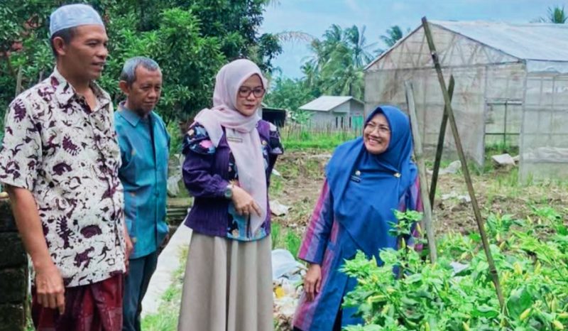 Plt Kepala Dinas Pertanian dan Ketahanan Pangan NTB Eva Dewiyani saat mengunjungi Gapoktan Sidemen di Kecamatan Batukliang Utara, Lombok Tengah untuk memantau pasokan cabai dan menjaga stabilitas harga menjelang Ramadan 1447 H.
