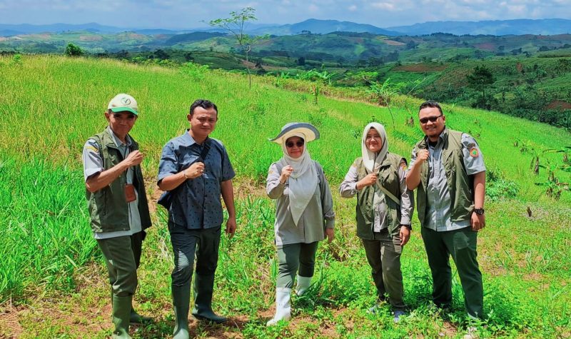 Tim Kementerian Pertanian bersama BPS melakukan pemetaan lahan melalui kegiatan poligonisasi padi gogo di Desa Bojong Jengkol, Kecamatan Jampang Tengah, Kabupaten Sukabumi, Kamis (12/3/2026).