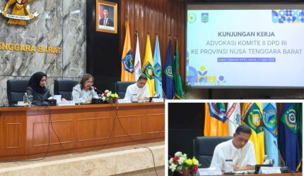 Rapat Pemprov NTB dan DPD RI bahas pembangunan jalan waduruka sarae ruma IJD 2026
