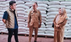 Stok Beras Gudang Bulog NTB Tembus 130 Ribu Ton, Aman untuk Kebutuhan hingga 2 Tahun