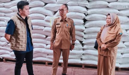 Pemantauan stok beras 130 ribu ton di Gudang Bulog NTB oleh Dinas Pertanian