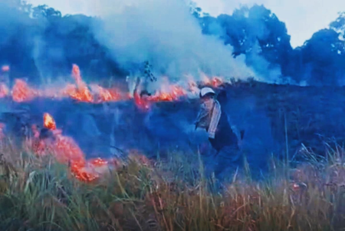 Kondisi kawasan Savana Propok di Taman Nasional Gunung Rinjani (TNGR), Desa Sembalun Lawang, Lombok Timur, saat dilanda kebakaran yang menghanguskan sekitar 98,28 hektare lahan pada Selasa (2/6/2026).