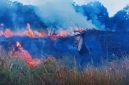 Kondisi kawasan Savana Propok di Taman Nasional Gunung Rinjani (TNGR), Desa Sembalun Lawang, Lombok Timur, saat dilanda kebakaran yang menghanguskan sekitar 98,28 hektare lahan pada Selasa (2/6/2026).