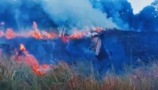 Kondisi kawasan Savana Propok di Taman Nasional Gunung Rinjani (TNGR), Desa Sembalun Lawang, Lombok Timur, saat dilanda kebakaran yang menghanguskan sekitar 98,28 hektare lahan pada Selasa (2/6/2026).