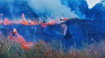 Kondisi kawasan Savana Propok di Taman Nasional Gunung Rinjani (TNGR), Desa Sembalun Lawang, Lombok Timur, saat dilanda kebakaran yang menghanguskan sekitar 98,28 hektare lahan pada Selasa (2/6/2026).