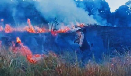 Kebakaran Savana Propok Gunung Rinjani di Sembalun Lombok Timur menghanguskan 98 hektare lahan savana.