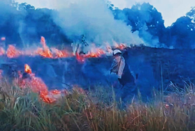 Kondisi kawasan Savana Propok di Taman Nasional Gunung Rinjani (TNGR), Desa Sembalun Lawang, Lombok Timur, saat dilanda kebakaran yang menghanguskan sekitar 98,28 hektare lahan pada Selasa (2/6/2026).