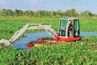 Eceng gondok yang tumbuh di kawasan Bendungan Batujai, Lombok Tengah, menjadi perhatian dalam pengembangan ekonomi hijau NTB. Tanaman yang selama ini dianggap mengganggu ekosistem perairan tersebut kini didorong untuk diolah menjadi berbagai produk bernilai tambah dan berorientasi ekspor guna meningkatkan kesejahteraan masyarakat sekaligus menjaga kelestarian lingkungan.