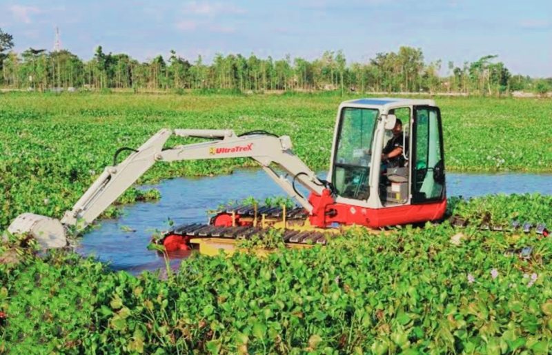 Eceng gondok yang tumbuh di kawasan Bendungan Batujai, Lombok Tengah, menjadi perhatian dalam pengembangan ekonomi hijau NTB. Tanaman yang selama ini dianggap mengganggu ekosistem perairan tersebut kini didorong untuk diolah menjadi berbagai produk bernilai tambah dan berorientasi ekspor guna meningkatkan kesejahteraan masyarakat sekaligus menjaga kelestarian lingkungan.