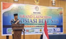 Peternak NTB Bersatu! Beef NTB Resmi Diluncurkan, Siap Buka Pasar Luas dan Wujudkan Lumbung Ternak Nasional