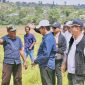 Sabtu, 9 Mei 2026, rombongan Dinas Peternakan dan Kesehatan Hewan Kabupaten Bima bersama Dinas PUPR Kabupaten Bima mendampingi Direktur Hilirisasi Hasil Peternakan Kementerian Pertanian RI, Dr. drh. Makmun Junaidin, M.Sc., beserta rombongan saat melakukan kunjungan kerja dan peninjauan langsung lokasi calon kawasan hilirisasi peternakan di Desa Madawau dan Desa Tolonggeru, Kecamatan Madapangga, Kabupaten Bima.