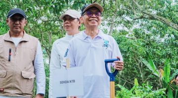 Sekda NTB Abul Chair saat ikut menanam pohon pada puncak Peringatan Hari Lingkungan Hidup Sedunia 2026 di Taman Hutan Raya (Tahura) Nuraksa, Narmada, Lombok Barat.
