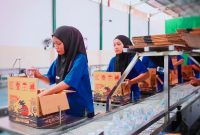Proses produksi air minum dalam kemasan Narmada di pabrik PT Narmada Awet Muda. Para pekerja terlihat melakukan pengemasan dan memasukkan botol air mineral ke dalam boks sebagai bagian dari persiapan distribusi untuk mendukung penyelenggaraan MotoGP Mandalika 2026.