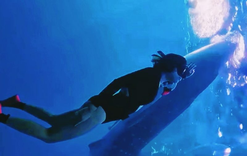 Terlihat Wisatawan terlihat berenang dan berinteraksi dengan Hiu Paus di perairan Teluk Saleh, Kabupaten Sumbawa, NTB. Kawasan ini menjadi salah satu Destinasi Ekowisata unggulan yang terus didorong pengelolaannya melalui prinsip Konservasi dan Keberlanjutan.