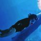 Terlihat Wisatawan terlihat berenang dan berinteraksi dengan Hiu Paus di perairan Teluk Saleh, Kabupaten Sumbawa, NTB. Kawasan ini menjadi salah satu Destinasi Ekowisata unggulan yang terus didorong pengelolaannya melalui prinsip Konservasi dan Keberlanjutan.