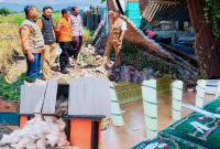 Dampak guncangan gempa M7,7 yang Berpusat di Wilayah Flores, NTT, Terasa Hingga Bima, NTB. Sejumlah Rumah, Masjid, Hotel dan Gudang Bulog Mengalami Kerusakan, Sementara Satu Warga Dilaporkan Luka Ringan.