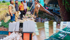 Dampak guncangan gempa M7,7 yang Berpusat di Wilayah Flores, NTT, Terasa Hingga Bima, NTB. Sejumlah Rumah, Masjid, Hotel dan Gudang Bulog Mengalami Kerusakan, Sementara Satu Warga Dilaporkan Luka Ringan.