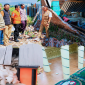 Dampak guncangan gempa M7,7 yang Berpusat di Wilayah Flores, NTT, Terasa Hingga Bima, NTB. Sejumlah Rumah, Masjid, Hotel dan Gudang Bulog Mengalami Kerusakan, Sementara Satu Warga Dilaporkan Luka Ringan.