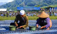 Sembalun Jadi Benteng Bawang Putih RI, Perang Lawan Impor Dimulai dari Kaki Rinjani